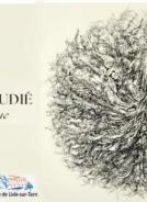 Exposition "parcours graphique" de Catherine Escudié